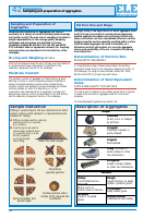 ELE ag42.pdf